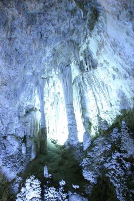 CRW_7290.jpg