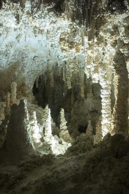 CRW_7348.jpg