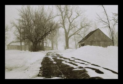 Snow storm 1