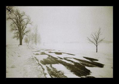 Tempete-04GL.jpg