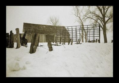 Tempete-05GL.jpg