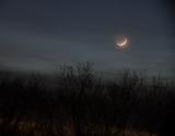 Crescent Moon and Clouds