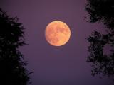 Purple Moonrise