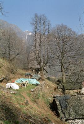terrace_and_lime-04182003-50percent.jpg