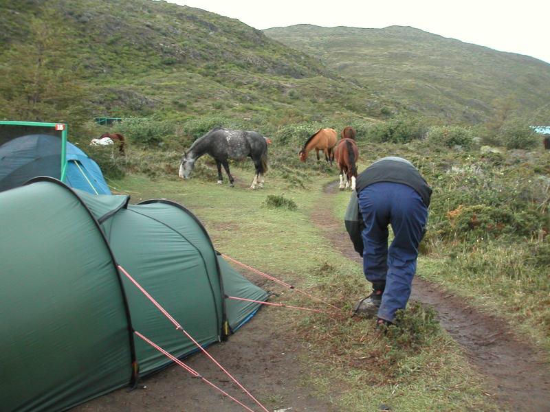 Peter's bum at Pehoe camp