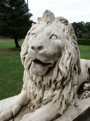 Lion Closeup.jpg