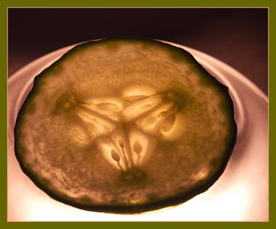 Transparency #2 (The Cucumber) by Azure Feast