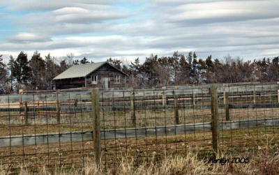 'old homestead buildings ... '
