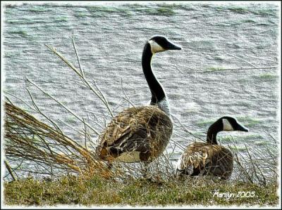 'looking downstream ... '