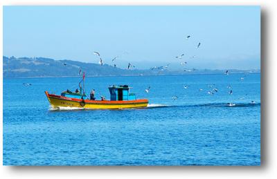 Fishermen of Ancud