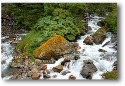Glacial Stream - Parque Nacional Queulat