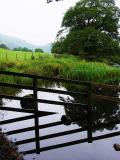 Serenity Fenced Off