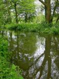 River Test