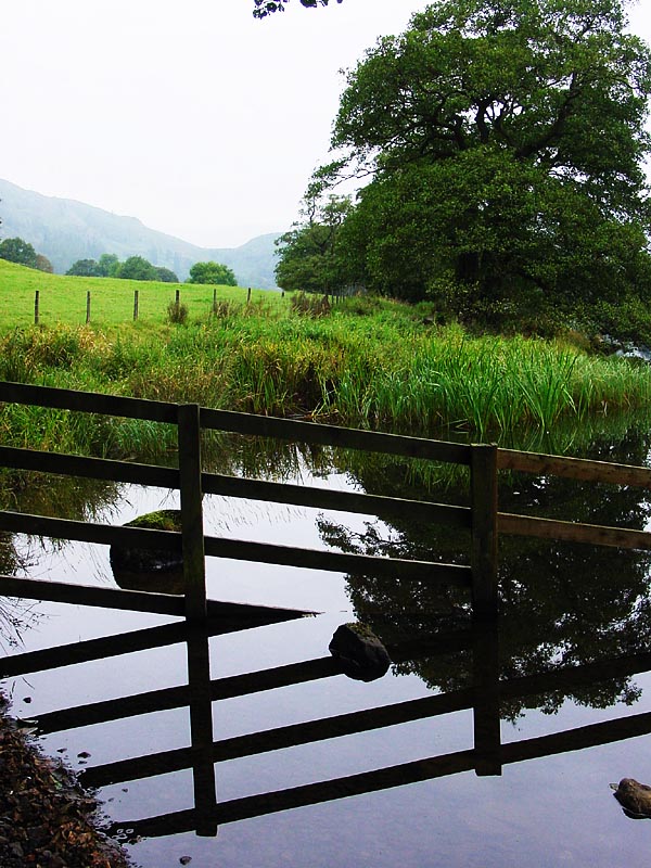 Serenity Fenced Off