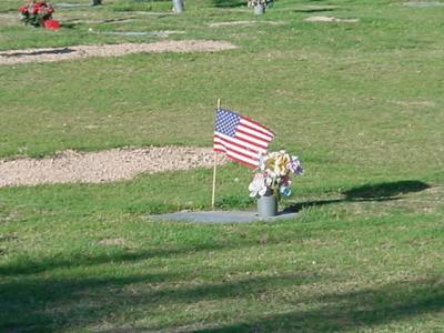 American flag at the cemetery