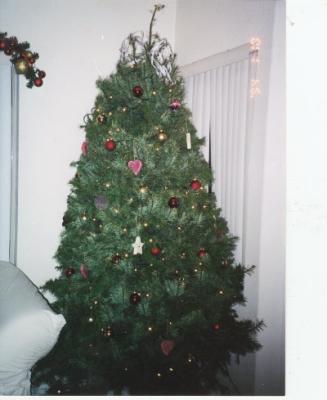 Our Xmas tree that we bought and setup all by ourselves.
