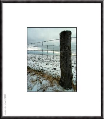 Cold CountryLiving