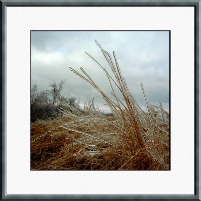 frozen_field_2_DSC_9141_2.jpg