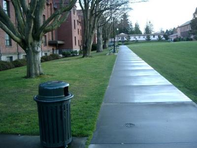 The walkway outside Todd/Phibbs again