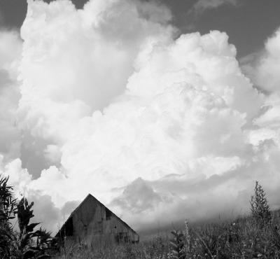 barn3.JPG