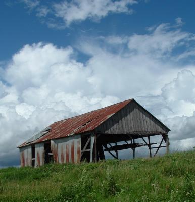 shed1.JPG