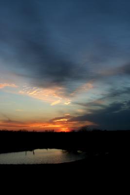 sunset2_March12_2005.jpg