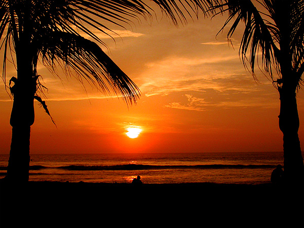 Sunset Palms