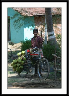 Coconut-Man.jpg