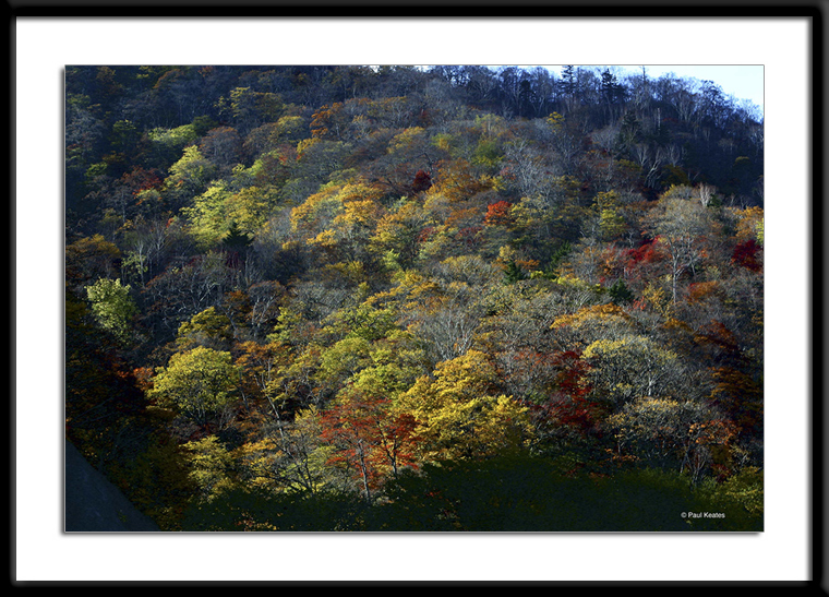 Autumn-Colours-in-Nikko.jpg