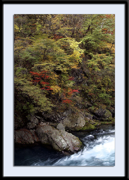 Nikko-Autumn-Leaves.jpg