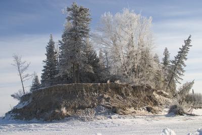 South end of Charles Island