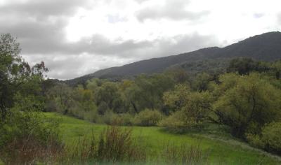 DSCN1249HowGreenIsMyValley.jpg
