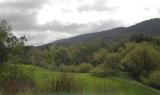 DSCN1249HowGreenIsMyValley.jpg