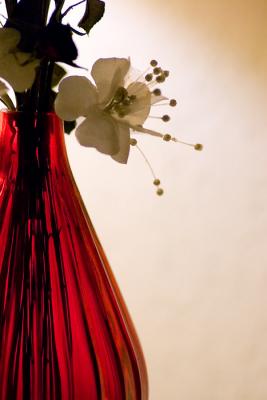 Red vase
