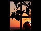 DSCN5618