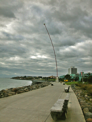 The Windwand in New Plymouth (not Bay of Plenty)