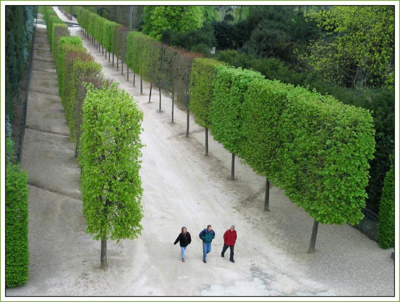 Chateau de Versailles - Les Bosquets