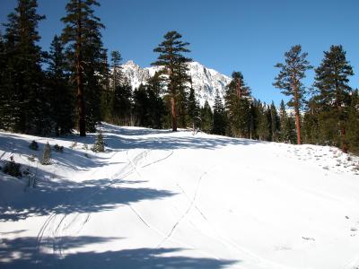 June Mountain 021.jpg