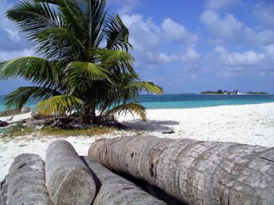 Lime Caye 4.jpg