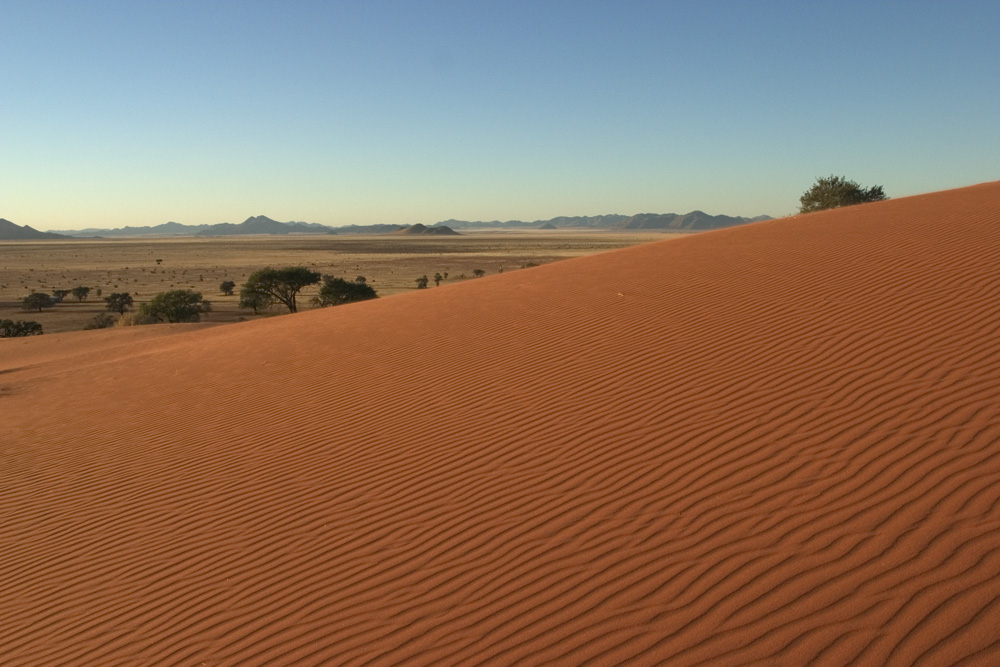 Dune Near SML