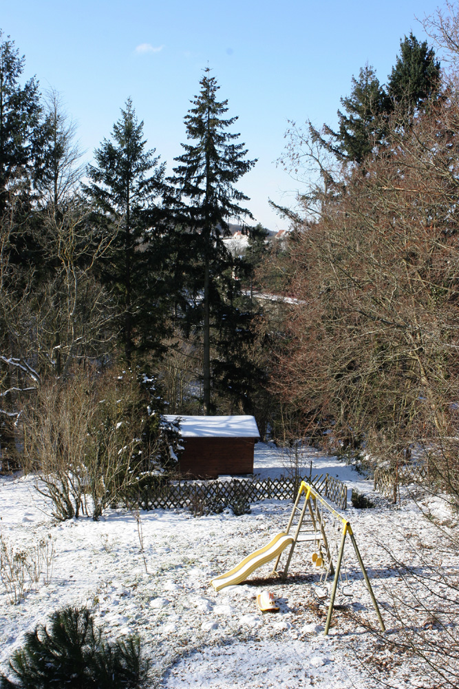 garden