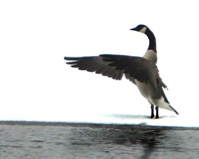IMG_6671.jpg