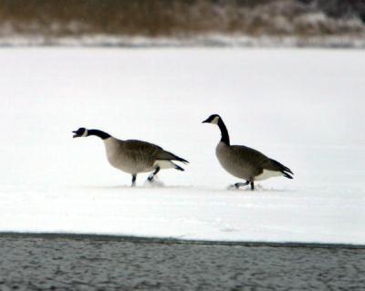 IMG_6694.jpg