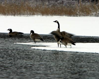 IMG_6729.jpg
