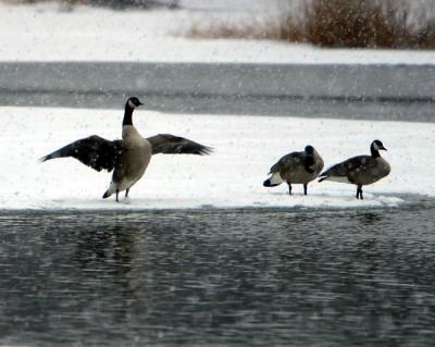 IMG_6844.jpg