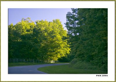Park Road - Thatcher Park