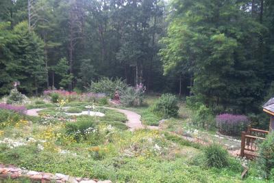 Stonewall Sweetheart Garden