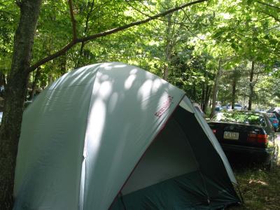 IMG_7204.jpg