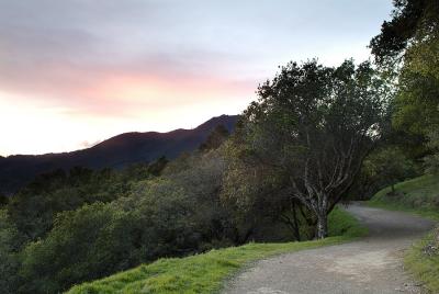 Mount Tam Trails5.jpg
