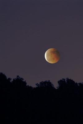 Lunar Eclipse1.jpg